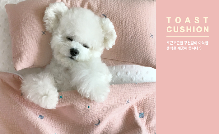 토스트쿠션